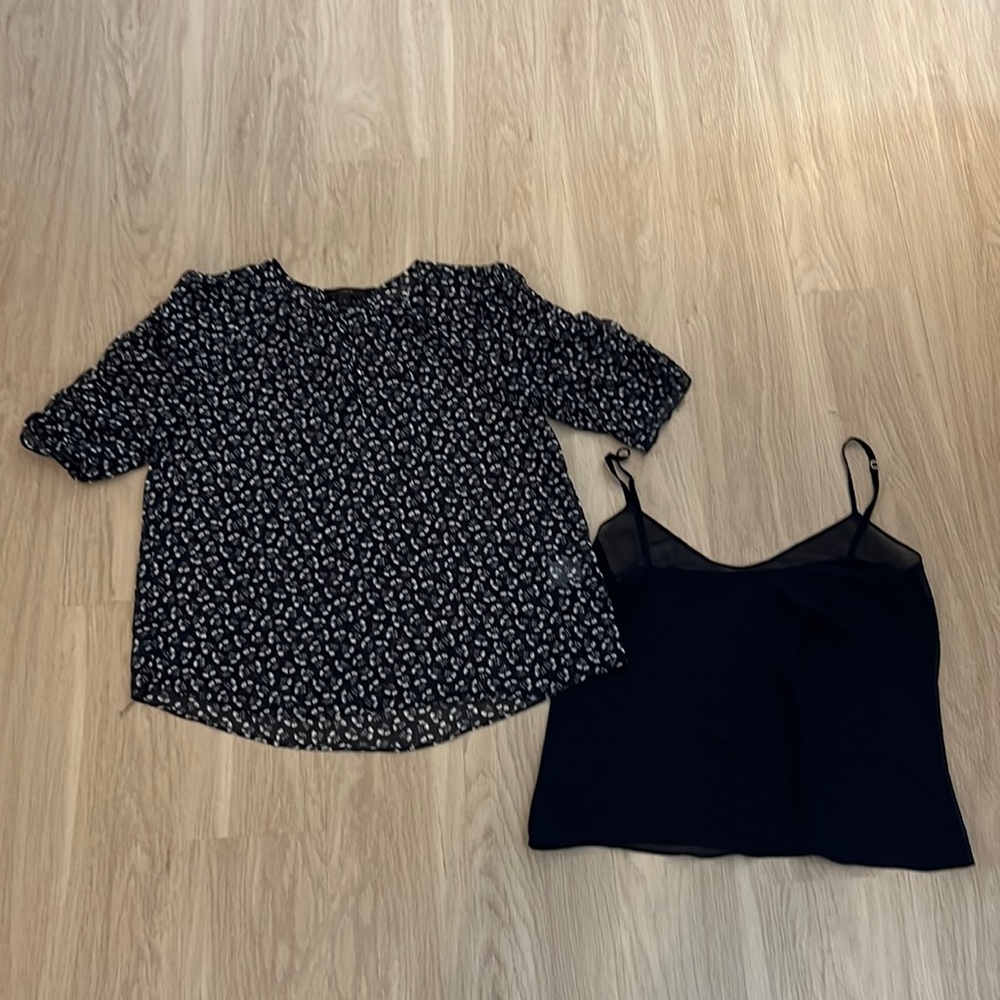 Jcrew Sheer blouse with silk camisole